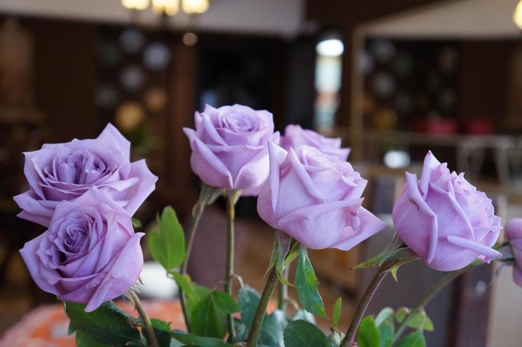 Don Ramon Hotel & Spa Canela Eksteriør bilde